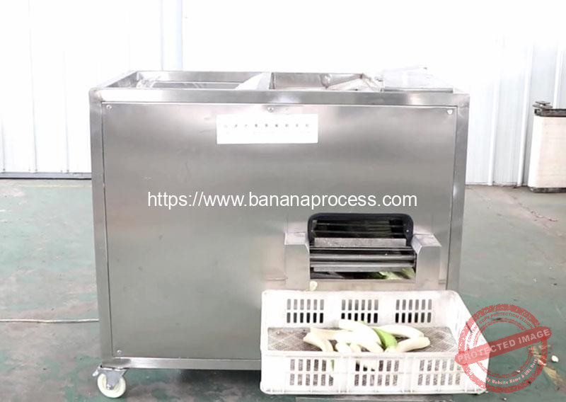 Auto-Feeding-Type-Green-Banana-Peeling-Machine-for-Peru-Customer